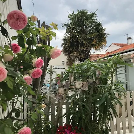 Le Palmier Vakantiehuis *