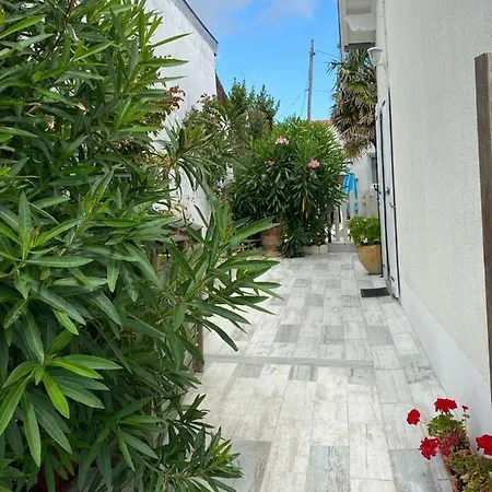 Le Palmier Vakantiehuis *