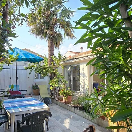 Le Palmier Holiday home