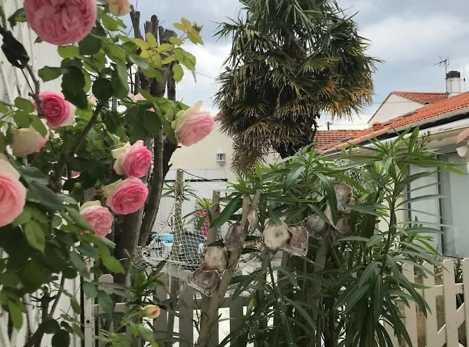 Le Palmier Prázdninový dům *