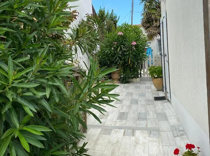 Le Palmier Semesterbostad *